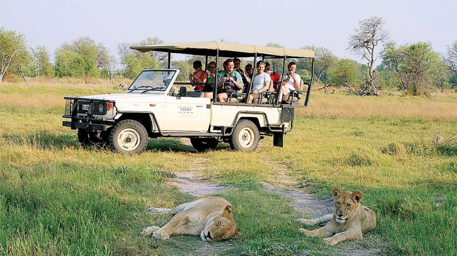 Destinasi Safari