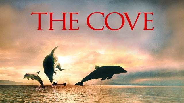 Film Dokumenter