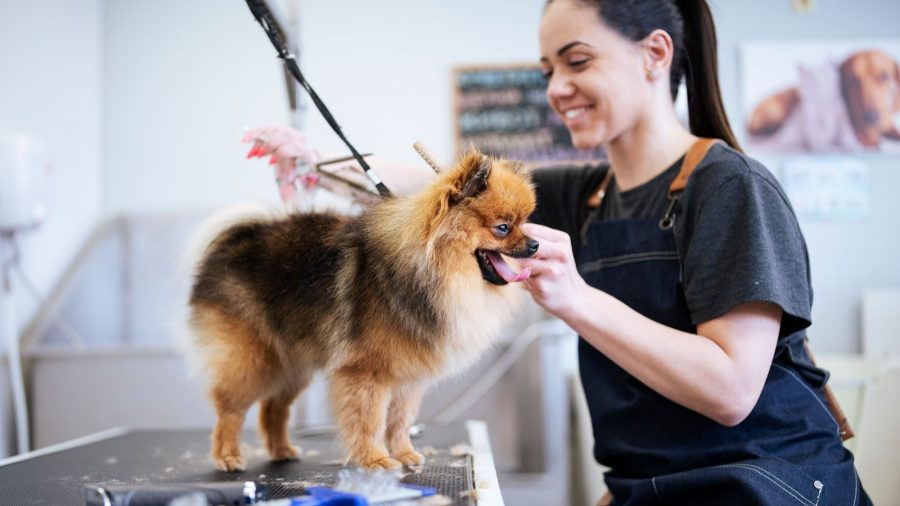 Grooming