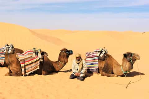 Ksar Ghilane