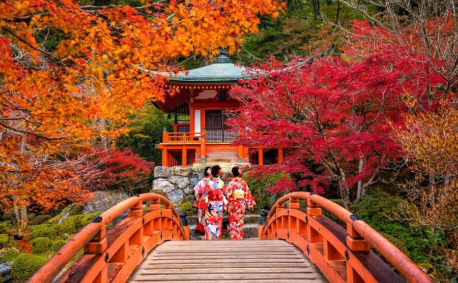 Musim Gugur di Jepang