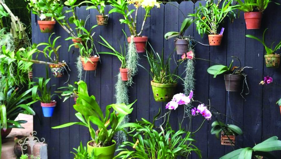 Vertical Garden