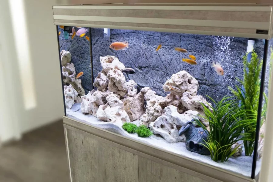 Aquarium di Rumah