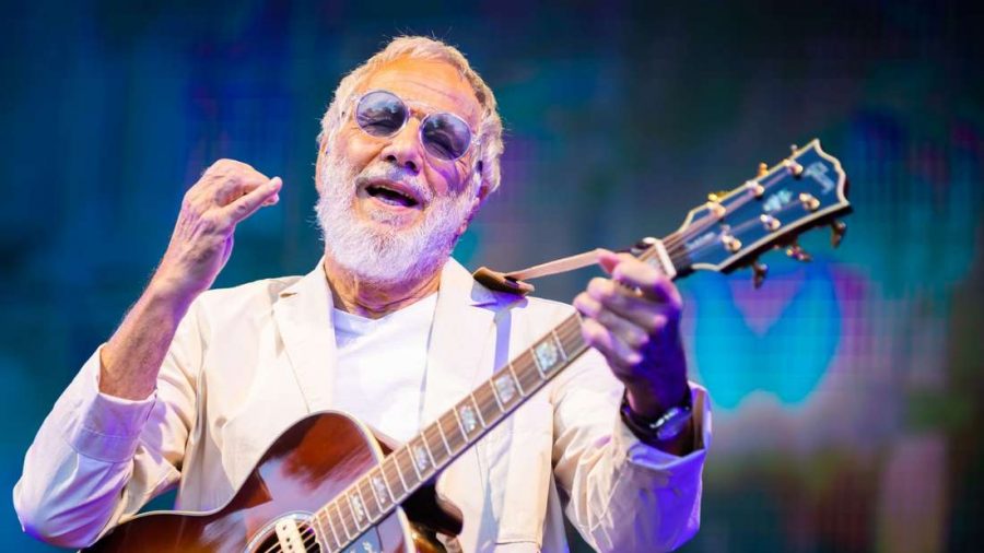 Cat Stevens