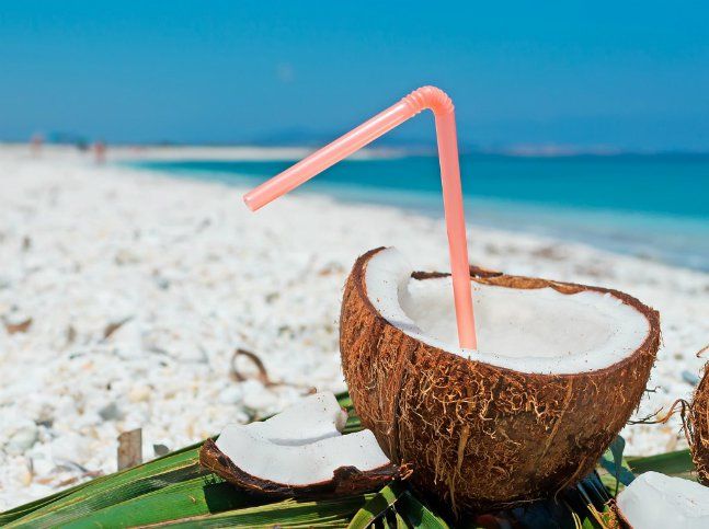 Minuman Segar