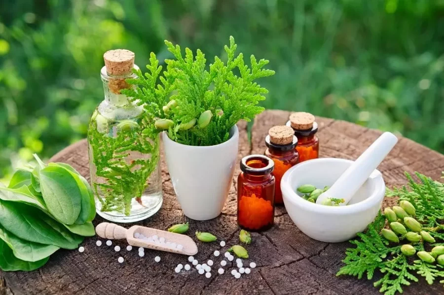 Tanaman Herbal