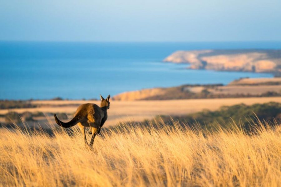 Tempat Wisata di Australia