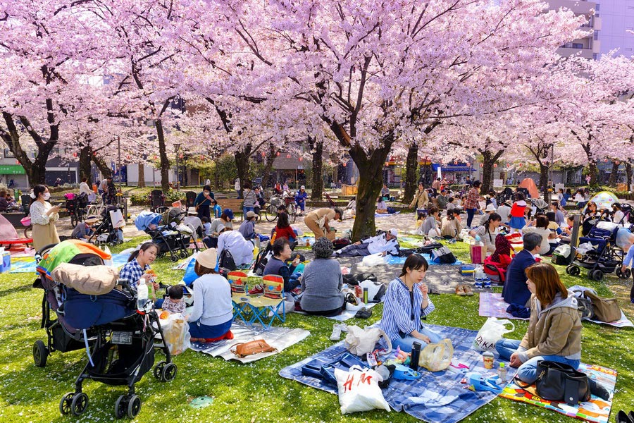 Hanami