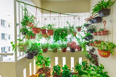 Taman di Balkon Apartemen