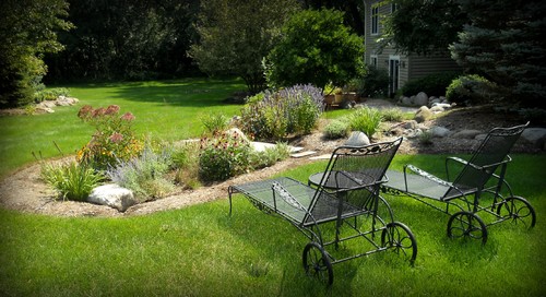 Rain Garden