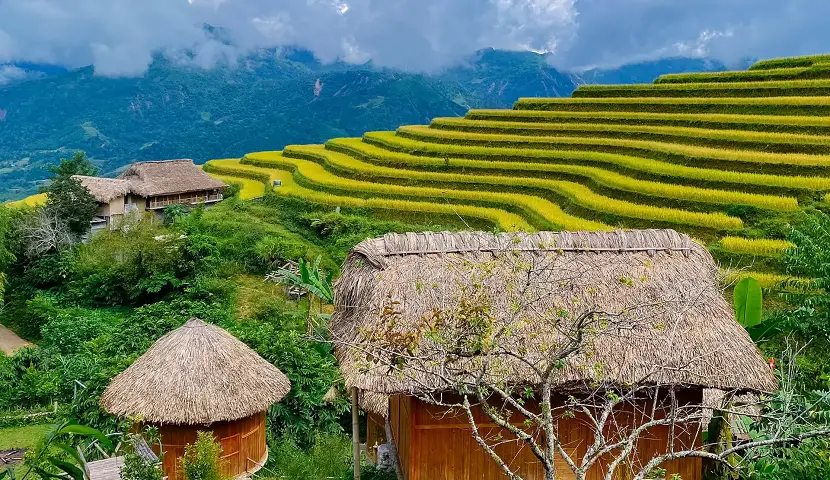 Desa Tradisional Vietnam