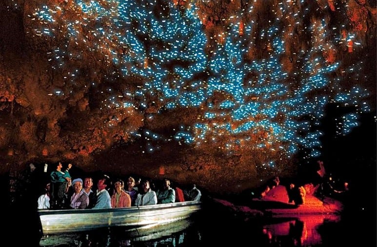 Gua Glowworm Waitomo