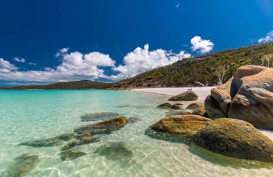 Pantai di Queensland