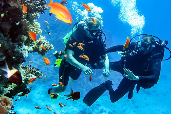 Scuba Diving
