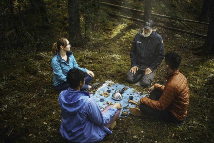 Forest Bathing