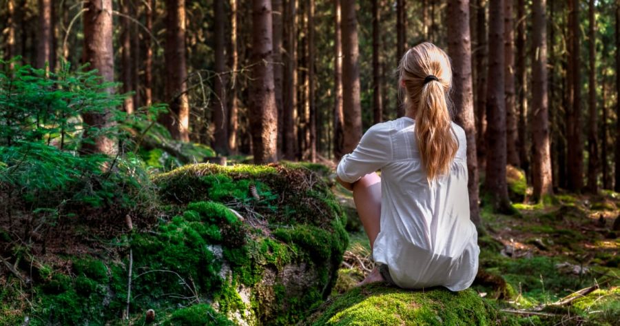 Forest Therapy