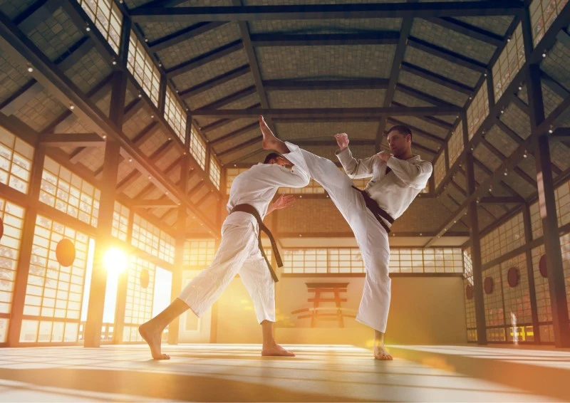Teknik Dasar Karate