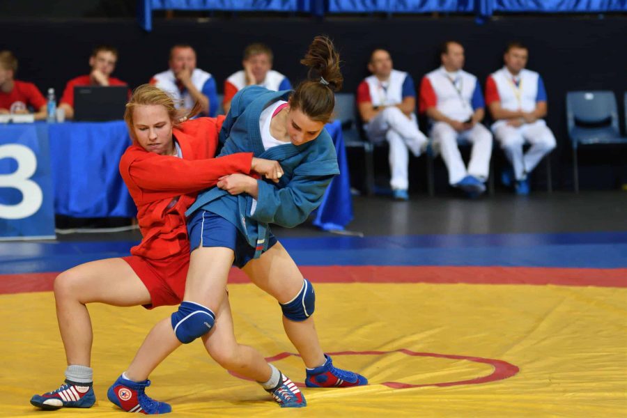 Teknik Dasar Sambo