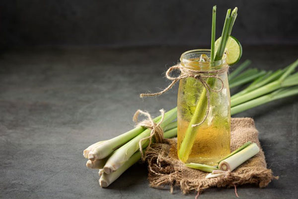 Rasa Lemon Grass
