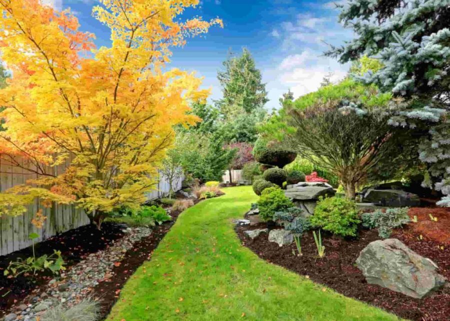 Rain Garden
