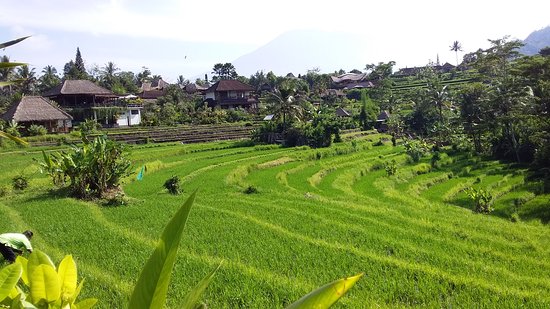 Desa Sidemen Bali