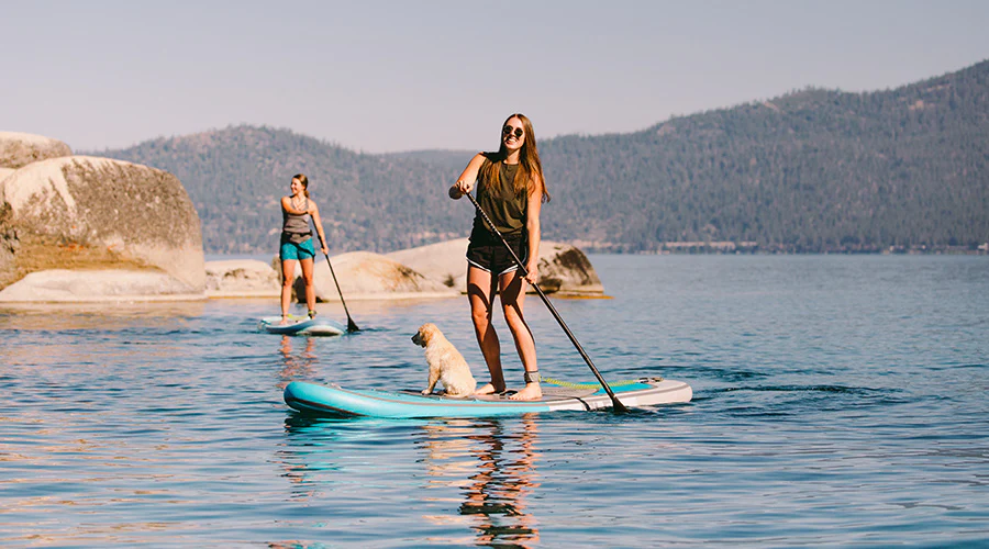 Olahraga Paddle Board
