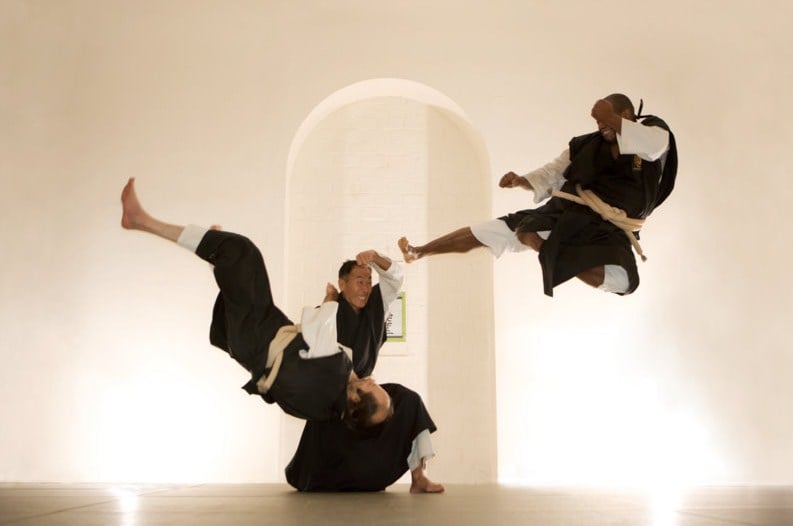 Shorinji Kempo
