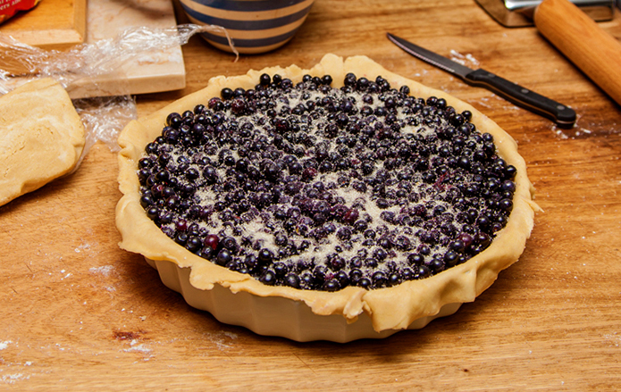 Bilberry Pie