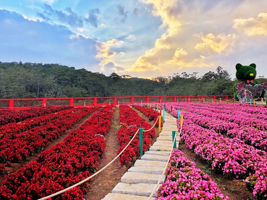 Da Lat Flower Park