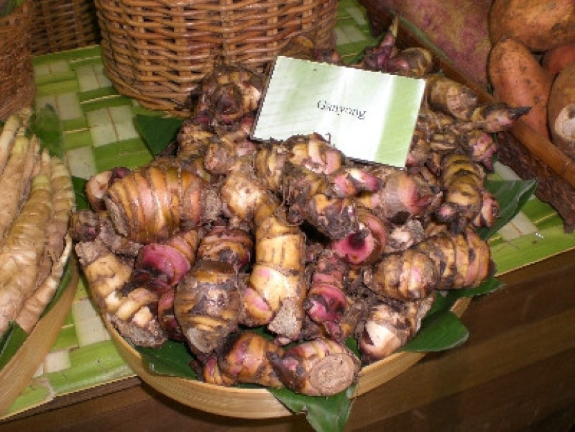 Ganyong