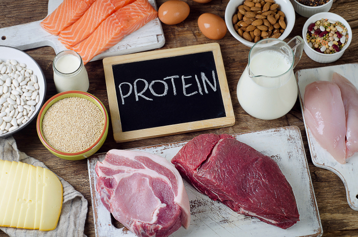 Manfaat Protein