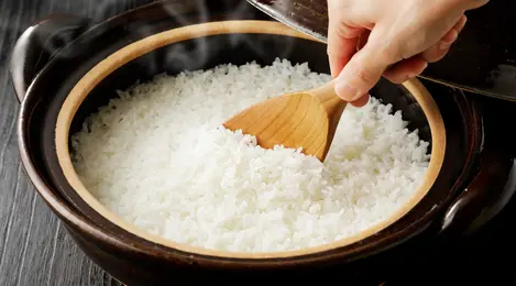 Nasi Pulen